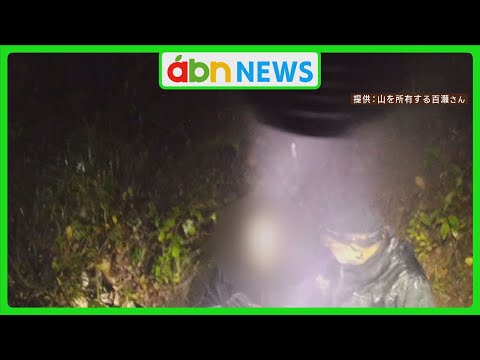 防犯カメラが捉えた〝マツタケ泥棒〟 執念の張り込み 確保の一部始終 〝マツタケ泥棒〟が明かした衝撃の事実(abnステーション 2024.11.08)