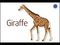 Giraffes and Vietnamese Language