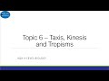 IAA and Plant Tropisms