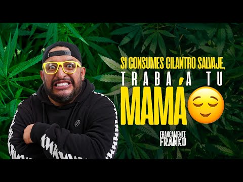 Si consumes cilantro salvaje, traba a tu mamá 😌 - Francamente Franko