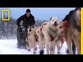 Dallas's Iditarod Race Challenges