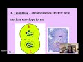 Cell Cycle and Mitosis Concepts