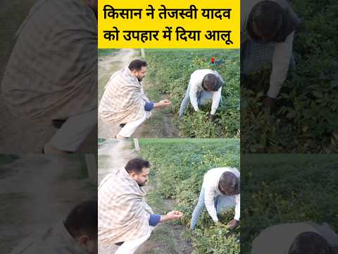 किसान ने Tejashwi Yadav को उपहार में दिया आलू |Indie Report #tejashwiyadav #trending #rjd #rjdlover