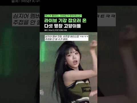 미야오가 망할 수 없는 이유