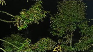 🔴Hujan Hujan Live Mari Bergabung