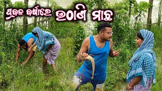 ପ୍ରବଳ ବର୍ଷାରେ ଉଠାଣି ମାଛ
