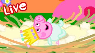 Peppa Pig BABY EVIE Episodes LIVE 🍼 Evie Pig's BEST Moments 🥹 Watch EVIE Now! 💛 Kids Cartoons