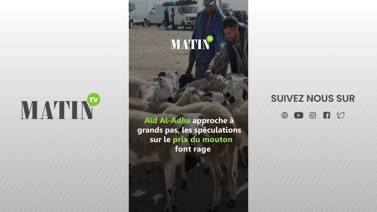 Video : Aïd Al-Adha : Attention aux fake news sur le prix des moutons