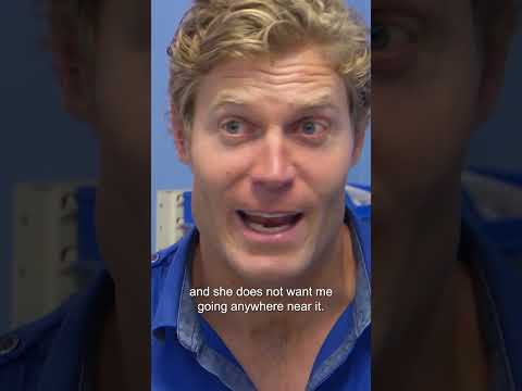 Dog's Massively Long Tongue Gets Cut Shorter! ? Bondi Vet #shorts