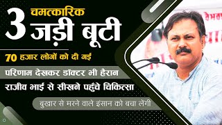3 ऐसी जड़ी बूटी जो अमृत साबित हुई बुखार के लिए - लाखों मरीजों को मरने से बचा लिया