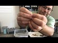 Vinegar and Salt Cleaning Experiment