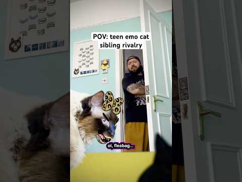 Cat dad lyf to emo siblings is chaos. O_o #cats #animation #comedy #emo #shorts