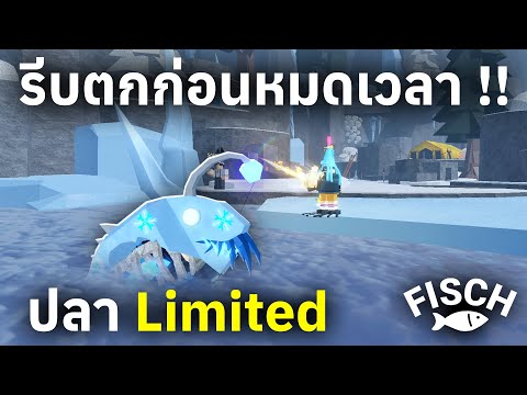 ตามล่าหาปลา Limited รีบตกก่อนจะหมดเวลา !! | Roblox Fisch