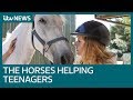 Understanding Equine-Assisted Therapy
