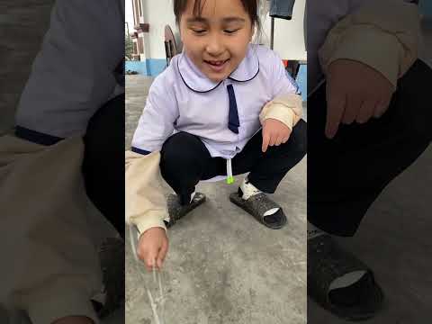 chêu rắn và cái kết bất ngờ chưa bà già?? #shorts