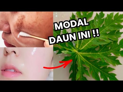 Pakai Daun Ini!! Banyak Yang Berhasil Flek Hitam Gosong Jadi Putih Kinclong!!