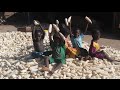 Food Security and Agriculture in Africa