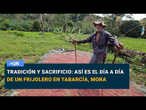 Tradición y sacrificio: así es el día a día de un frijolero en Tabarcía, Mora