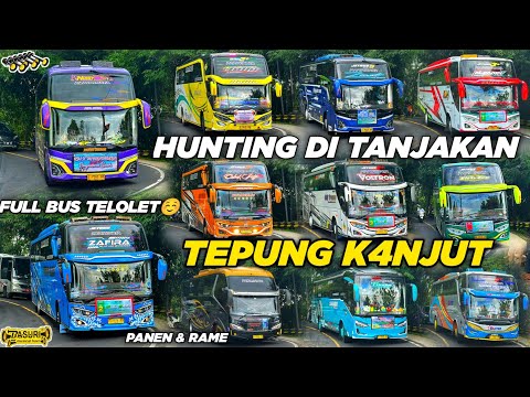 FULL BASURI BUS TELOLET 🤩 Hunting bus Di tanjakan Viral Tepung K4njut ‼️ Rame Panen Telolet