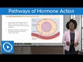 Hormone Signaling Mechanisms and Functions