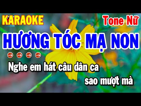 Karaoke Hương Tóc Mạ Non Tone Nữ – Nhạc Sống Cha Cha Beat Hay Nhất 2025