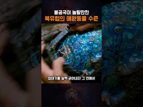 불곰국이 놀랄만한 북유럽의 애완동물 수준