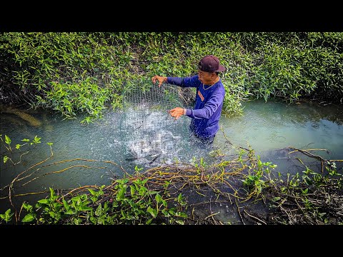 5 Hari berburu dimusim panen padi dapat banyak ikan diperangkap & kerumah pohon 30 meter!!! #KOOKIKO