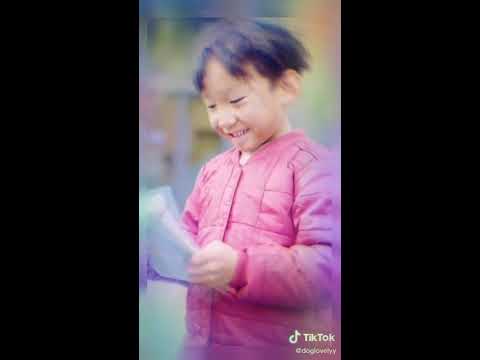 baik sekali anjing  ini