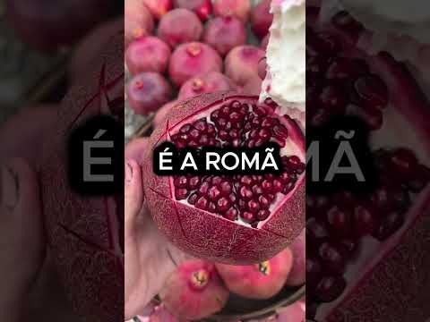 ESSA É A FRUTA COM MAIS GORDURA E AÇÚCAR!