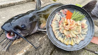 ナマズの刺身はフグの味がするらしい