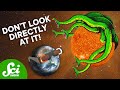 Exploring the Mysteries of the Sun