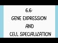 Gene Expression and Regulation Concepts
