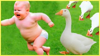 1 HOUR of Funniest Baby Video In The World