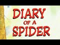 Spider's Lessons and Experiences