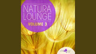 Crescendo (Original Mix)