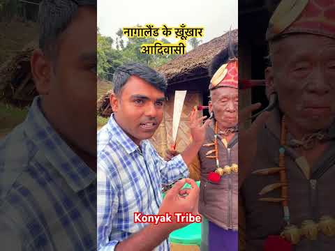 जो ज़्यादा सिर काटेगा वही योद्धा है। Konyak Tribe Nagaland                           #tribe #village