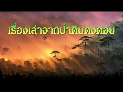 เรื่องเล่าจากป่าดิบดงดอย | เรื่องเล่าลี้ลับจากดงลึก