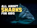 Shark Biology and Ecology