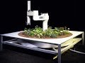 Surgical Robotics and Telegarden Insights