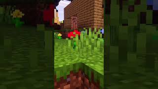 Minecraft con shaders #minecraft #minecraftshorts