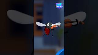 ما هو البعوض؟كيف ولماذا يلدغ الإنسان؟ Why mosquitoes bite us