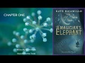 Peter's Journey in The Magician's Elephant