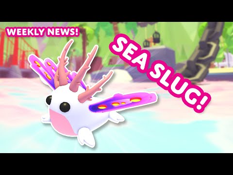 🌊 SUMMER WEEK 3! ✨ Get those Doubloons! 🪙 Weekly News! 📰 Adopt Me! on Roblox