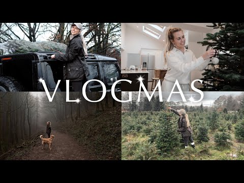 VLOGMAS 4 🎄 Picking our Christmas tree & Winter woodland walks