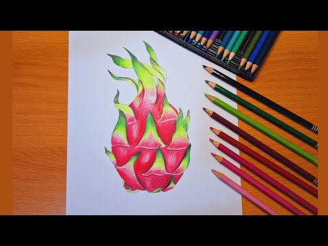 Tutorial menggambar buah naga menggunakan pensil warna