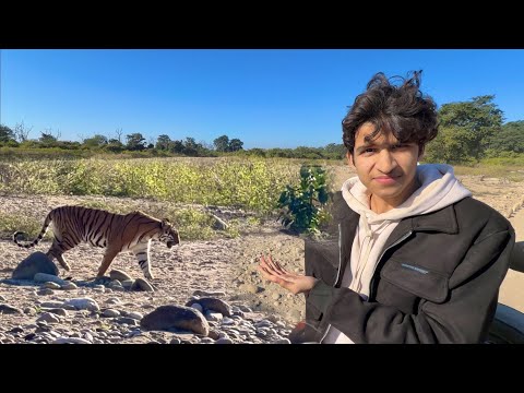 Etna Bada Tiger 😲 Dikh Gaya 