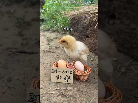 पांच मे दो ले गए पापा 🫠|| ~mini wood toy -woodworking art skill/#shorts