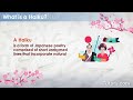 Understanding Haikus