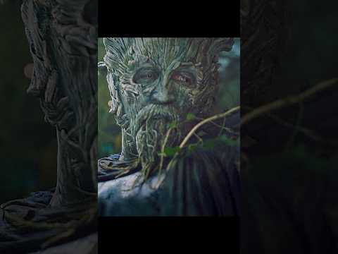 Medieval Trial of Courage | The Green Knight’s Story