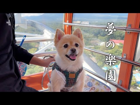 愛犬と一緒に遊べる遊園地に行ったらこうなりました…笑